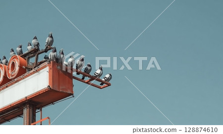 Pigeons resting on a sign 128874610