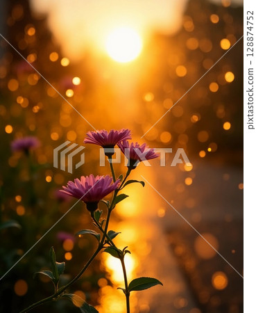 Gentle sunlight bathes blooming flowers in warm hues, casting a magical glow as shimmering droplets dance around them, creating a tranquil evening atmosphere Generative AI 128874752