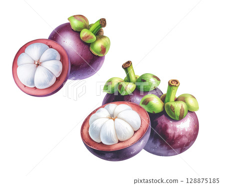 Wantercolor fresh mangosteen isolated on white 128875185