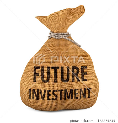 Future Investment, money bag. 3D rendering Future Investment, money bag. 3D rendering 128875235