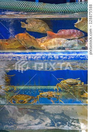Live Crabs in Tank Live Crabs in Tank 128875588