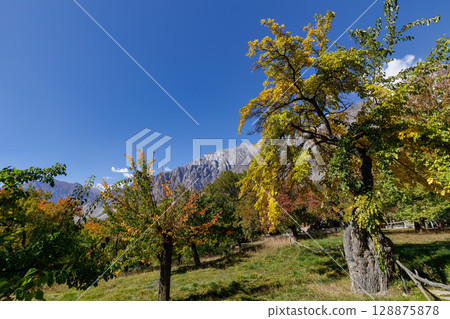 The landscape of Hunza Valley In Autumn Season, with mountain range in the background,Hunza, Pakistan. 128875878