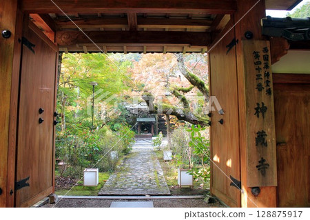 新藏寺的秋葉 128875917