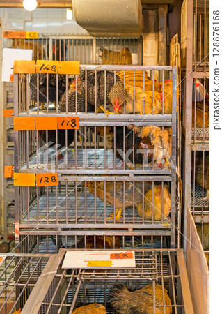 Chickens Cages Market Chickens Cages Market 128876168