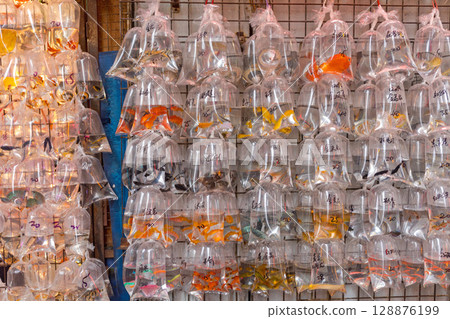 Goldfish in Bags 128876199