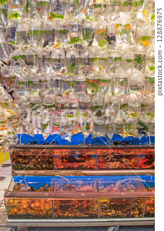 Pet Shop Aquarium 128876975