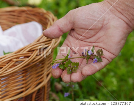 Hand holding a bunch of flowers in a basket 128877367