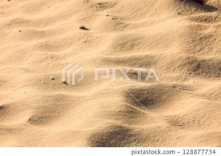 abstract sand texture pattern beach sandy background 128877734