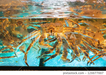 Live Crab Tank Live Crab Tank 128877887