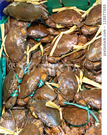 Live Crabs Live Crabs 128877888