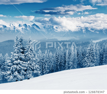 winter winter 128878347