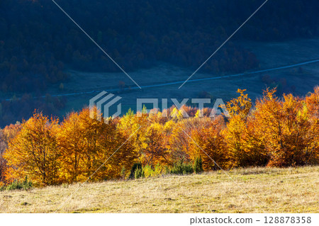 autumn autumn 128878358
