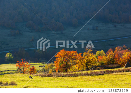 autumn autumn 128878359