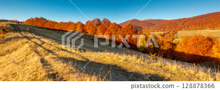 autumn autumn 128878366