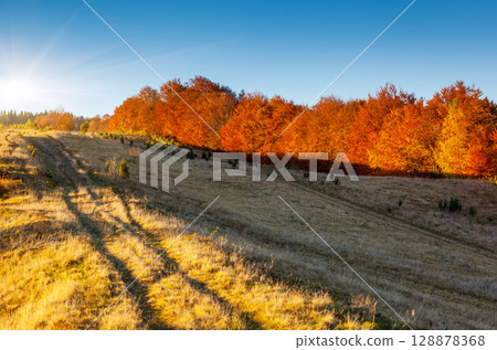 autumn autumn 128878368