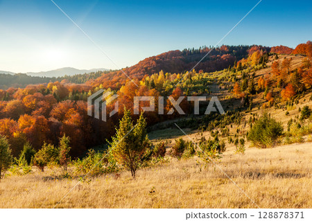 autumn 128878371