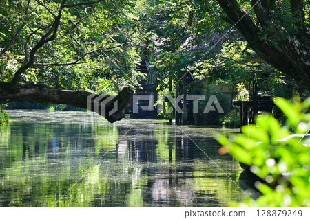 Landscape with green 128879249