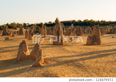 Golden light illuminates the Pinnacles, ancient rock formations in Western Australia Golden light illuminates the Pinnacles, ancient rock formations in Western Australia 128879551