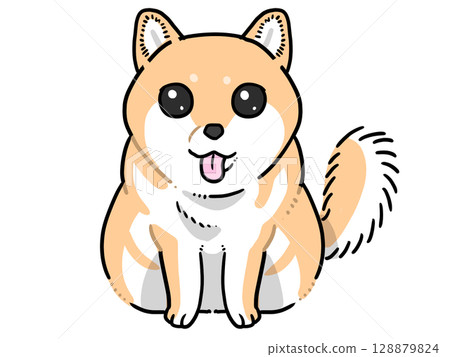 Shiba Inu is sending me 128879824