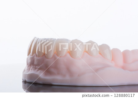 Quality dental zirconium crowns of lower jaw stylized as young bright teeth on 3D printed model. Quality dental zirconium crowns of lower jaw stylized as young bright teeth on 3D printed model. 128880117