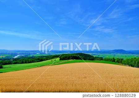 Scenery of Togairo Pass (Otoecho, Fukagawa City, Hokkaido) 128880129