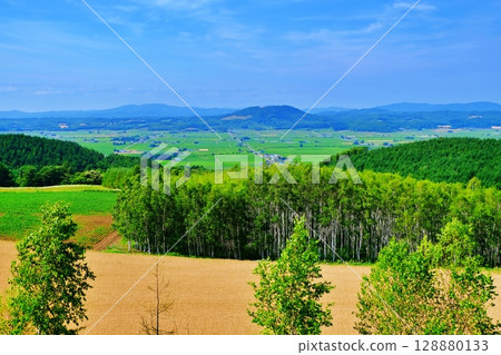 Scenery of Togairo Pass (Otoecho, Fukagawa City, Hokkaido) 128880133