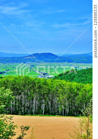 戸貝樓嶺風景(北海道深川市大毛町) 戸貝樓嶺風景(北海道深川市大毛町) 128880135