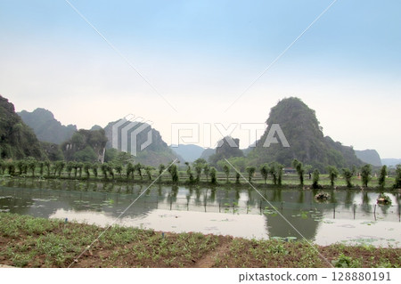 越南寧平的荷花池景觀 128880191