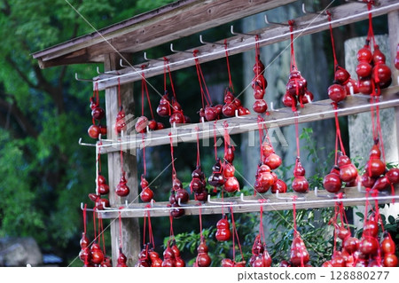 Dazaifu Tenmangu Shrine's Troublesome Sunny Gourd Dazaifu Tenmangu Shrine's Troublesome Sunny Gourd 128880277
