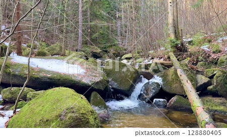 A tranquil and serene forest stream flows gently over mosscovered rocks, enhancing natures beauty A tranquil and serene forest stream flows gently over mosscovered rocks, enhancing natures beauty 128880405