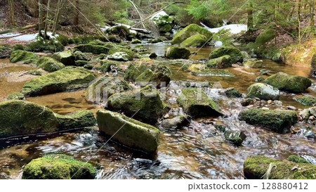 A Beautiful Serene Flowing Stream, Surrounded by a Lush Green Forest and Mossy Rocks 128880412