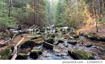 A Serene Forest Stream Flowing Gently Over Mossy Rocks, All Bathed in Soft, Warm Sunlight A Serene Forest Stream Flowing Gently Over Mossy Rocks, All Bathed in Soft, Warm Sunlight 128880413