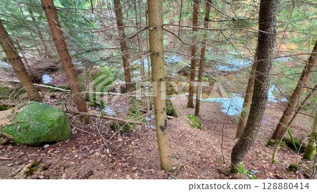 A Beautiful Serene Forest Landscape with a Stream and Rocky Outcrops Enhancing Natures Beauty 128880414