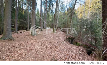 A tranquil forest pathway accompanied by a gentle stream flowing throughout the autumn season 128880417