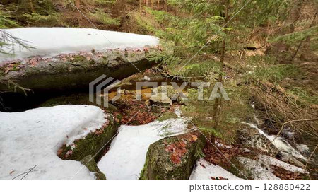 A Serene Forest Scene Featuring Beautiful Snow and Intriguing Rocks In Natures Splendor 128880422