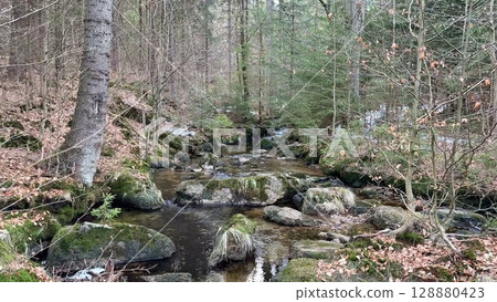 The Serene Forest Stream with Reflections captures the tranquility and beauty of nature 128880423