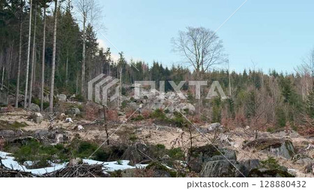 Forest deforestation and landscape changes pose critical challenges for our environment 128880432