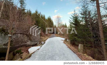 A Serene Winter Trail Perfectly Nestled Amidst a Lush Pine Forest and Majestic Boulders 128880435