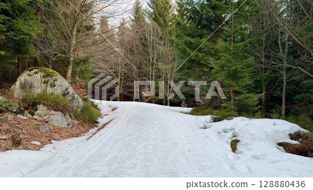 Embark on a winter trail journey through a scenic forest landscape amidst natures beauty 128880436