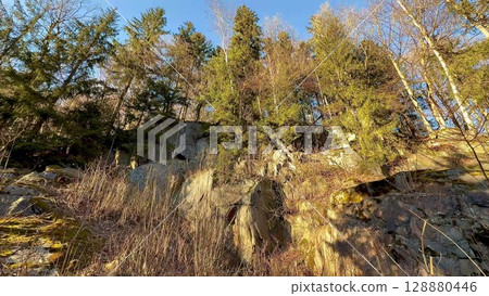 A picturesque and scenic rocky outcrop is surrounded by a thriving, lush forest environment 128880446