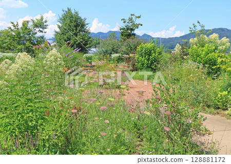 池田町藥草站花與藥草園 128881172