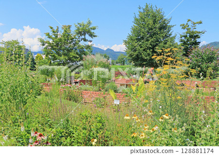 Ikeda Town Herb Station Flower and Herb Garden Ikeda Town Herb Station Flower and Herb Garden 128881174