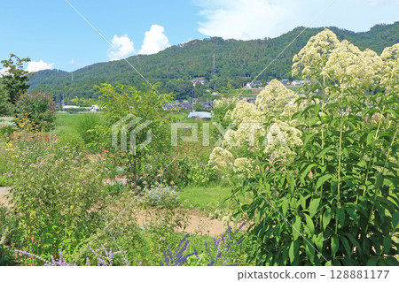 Ikeda Town Herb Station Flower and Herb Garden 128881177