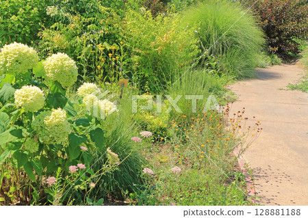 Ikeda Town Herb Station Flower and Herb Garden 128881188