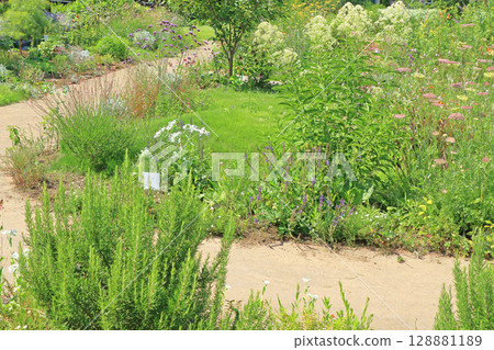 Ikeda Town Herb Station Flower and Herb Garden 128881189