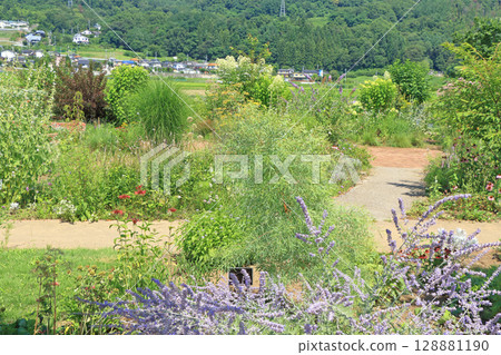 池田町藥草站花與藥草園 池田町藥草站花與藥草園 128881190