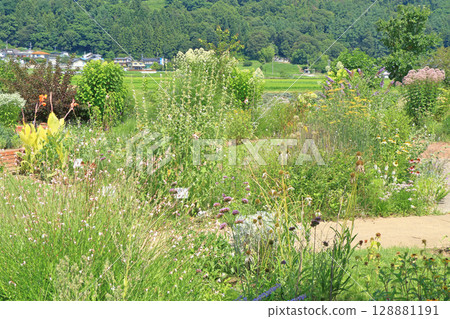 Ikeda Town Herb Station Flower and Herb Garden 128881191