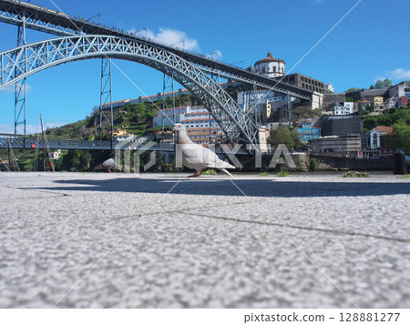 Portugal, Porto, Douro River, Dom Luis I Bridge, May 128881277