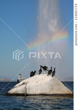 Birds resting on a small island in Lake Geneva and a rainbow (vertical photo) 128881724