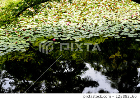 Snake's Nose 2025-6-21 #45 128882166